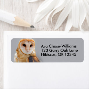 Vignetted Serene Barn Owl