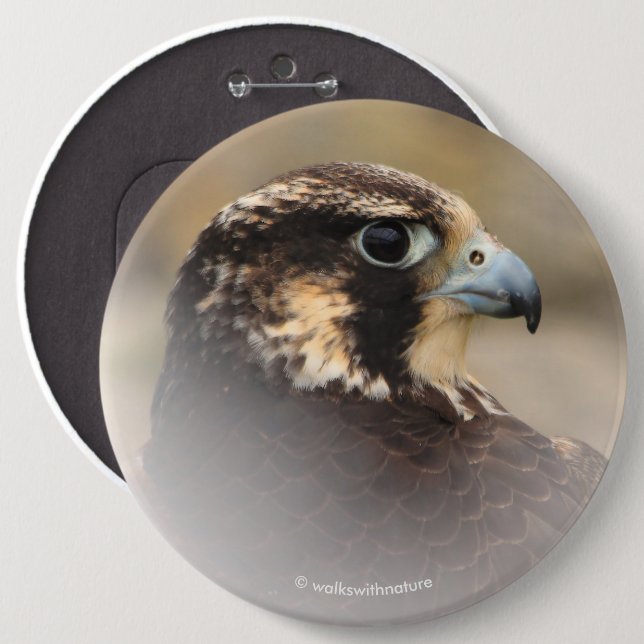 Vignettiertes Profil eines Peregrine Falken Button (Vorne & Hinten)