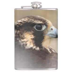 Vignettiertes Profil eines Peregrine Falken Flachmann