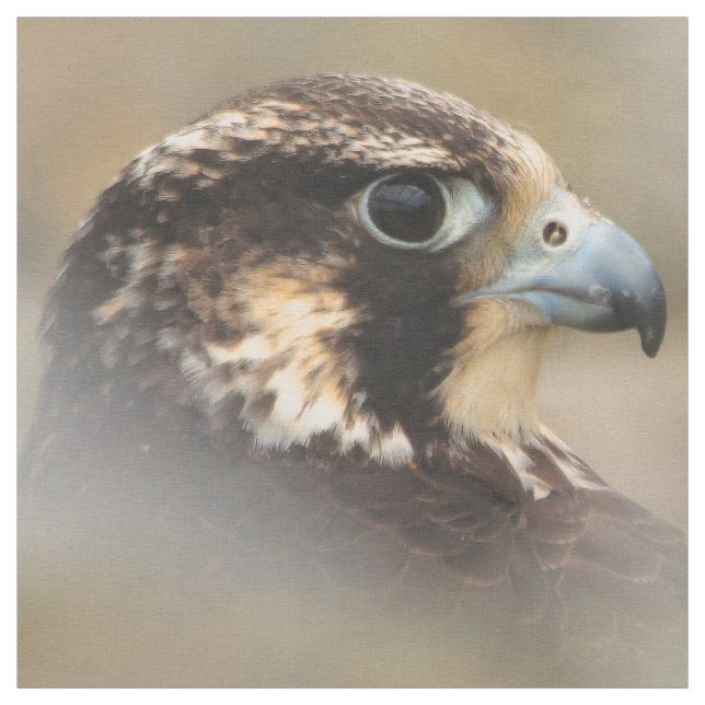Vignettiertes Profil eines Peregrine Falken Stoff (Muster)