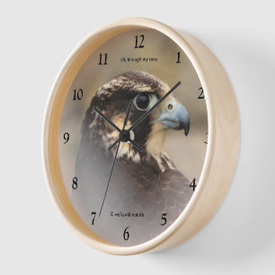 Vignettiertes Profil eines Peregrine Falken Wanduhr