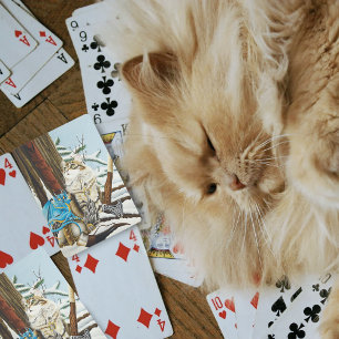 Viking Cat Blue Dragon Spielkarten