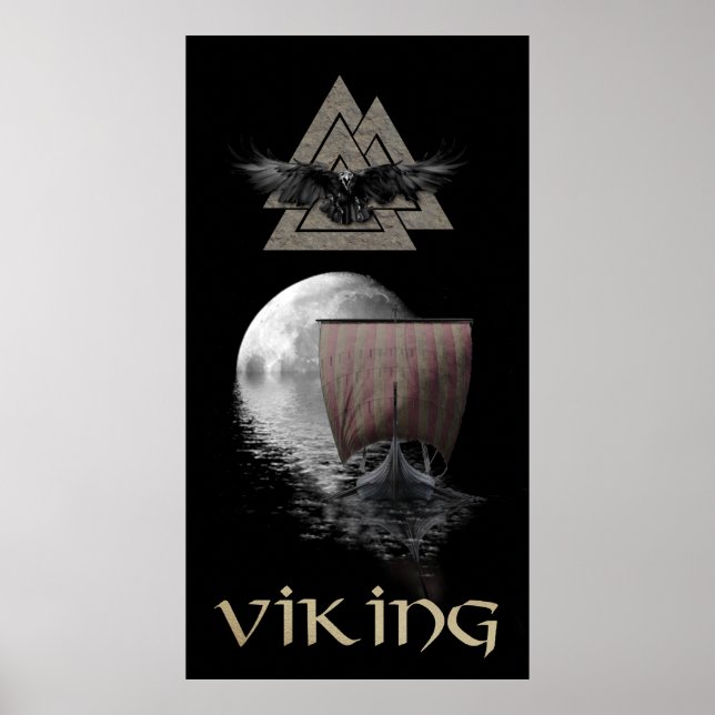 Viking Warrior Poster (Vorne)