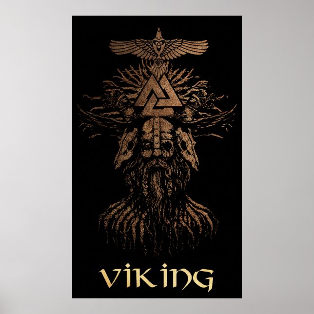 Viking Warrior Poster (Vorne)