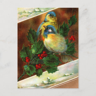 Viktorianisch Bird Christmas Postcard Feiertagspostkarte