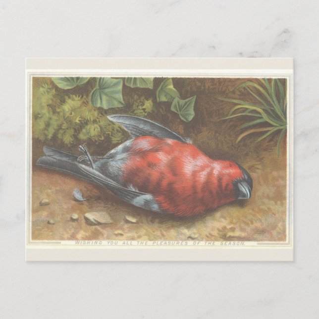 Viktorianisch Dead Bird Weihnachtskarte Postkarte (Vorderseite)