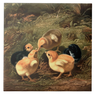 Viktorianisch Era Baby Chickens Fliese