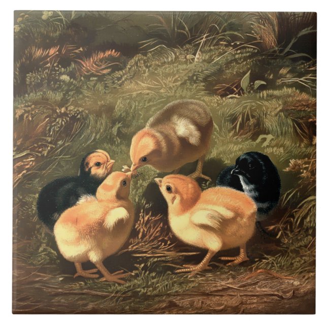 Viktorianisch Era Baby Chickens Fliese (Vorderseite)