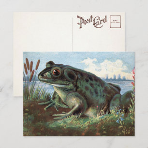 Viktorianisch Frosch Art Postkarte