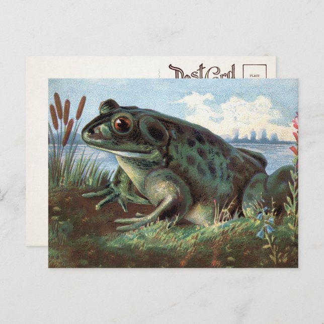 Viktorianisch Frosch Art Postkarte  (Vorne/Hinten)