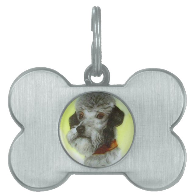 VIKTORIANISCH MINIATURE DOG PORTRAITS Airedale Ter Tiermarke (Vorderseite)