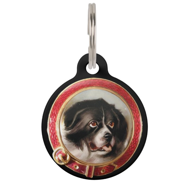 VIKTORIANISCH MINIATURE DOG PORTRAITS Neufundland Haustiermarke (Vorderseite)