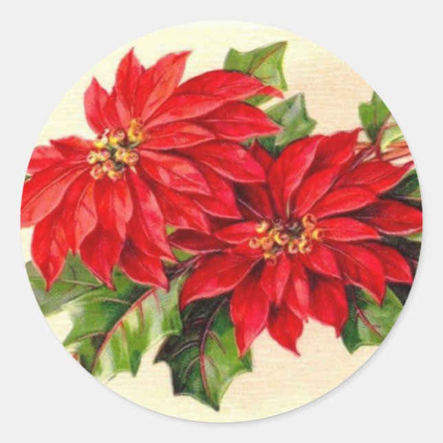 Viktorianisch Poinsettia Weihnachtsaufkleber Runder Aufkleber (Vorderseite)