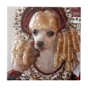 Viktorianisch Poodle Liebe Hunde Pose Fliese