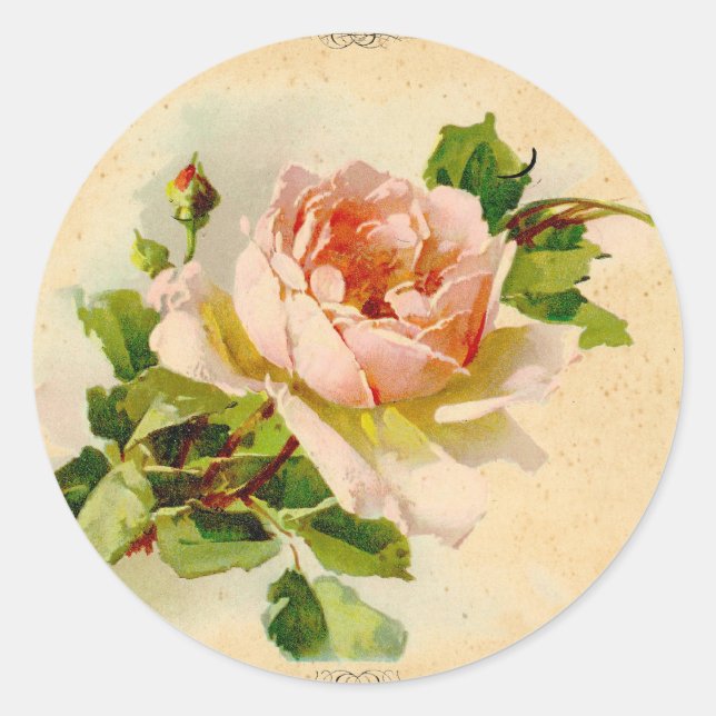 Viktorianisch Rosa Rose Runder Aufkleber (Vorderseite)