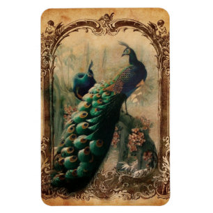 viktorianisch vintage-blumen-pariser Pfau Magnet