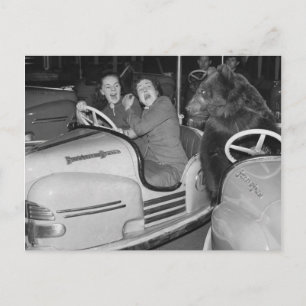 Viktorianische Bärenreitwagen Postkarte