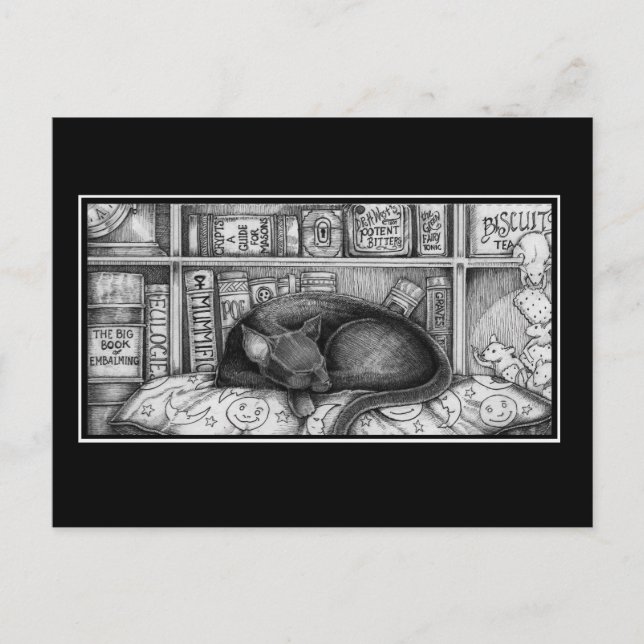 Viktorianische Bibliothekskatze Postkarte (Vorderseite)