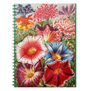 Viktorianische Blumenspirale Notebook Morning Glor Notizblock