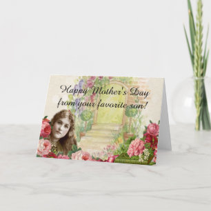 Viktorianische Cabbage-Rose Blumenstor Karte