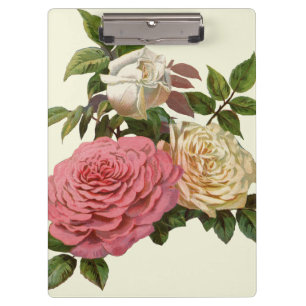 Viktorianische Creme- und rosa Rosen Klemmbrett
