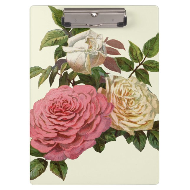 Viktorianische Creme und Rosen Klemmbrett (Vorderseite)