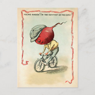 Viktorianische Fahrrad-Rettich-Postkarte Postkarte