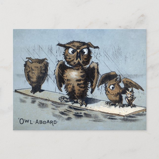 Viktorianische Floating Owls Postkarte (Vorderseite)