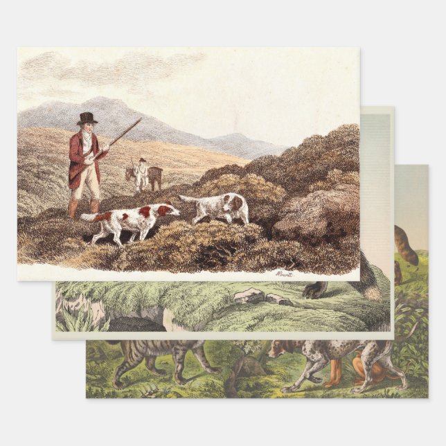Viktorianische Hundeausdrucke Geschenkpapier Set (Set)