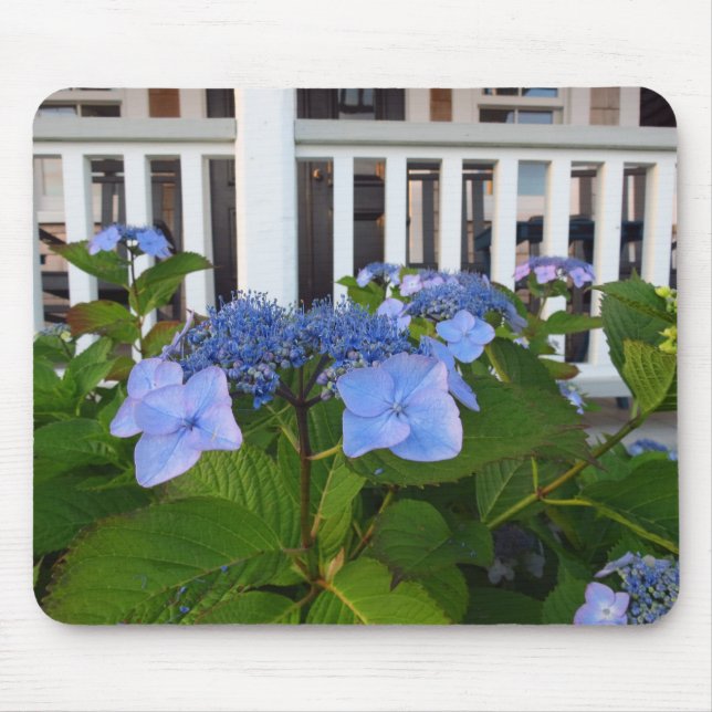 Viktorianische Hydrangea und Porch - Martha's Vine Mousepad (Vorne)