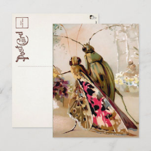 Viktorianische Insekten-Postkarte Postkarte