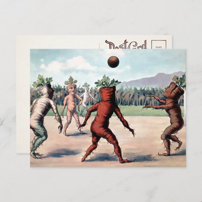 Viktorianische Karotten spielen Ball Postkarte  (Vorne/Hinten)