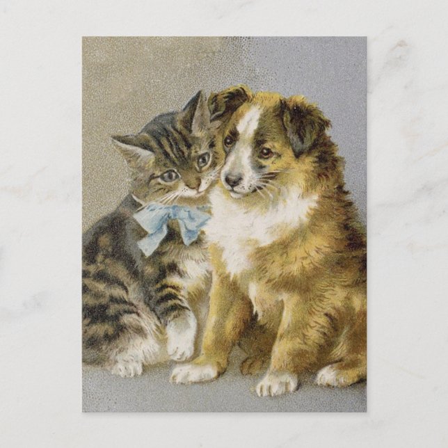 Viktorianische Katz- und Hundefreundschaft Postkarte (Vorderseite)