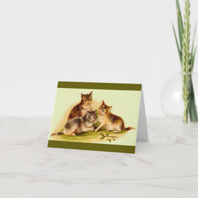 Viktorianische Kätzchen (Vorderseite)