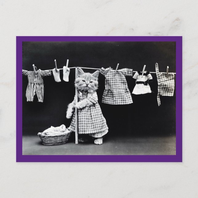 Viktorianische Katze, Vintag, Katze Art Postkarte (Vorderseite)