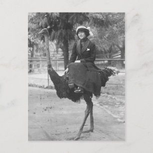 Viktorianische komische Frau Riding Ostrich Postkarte