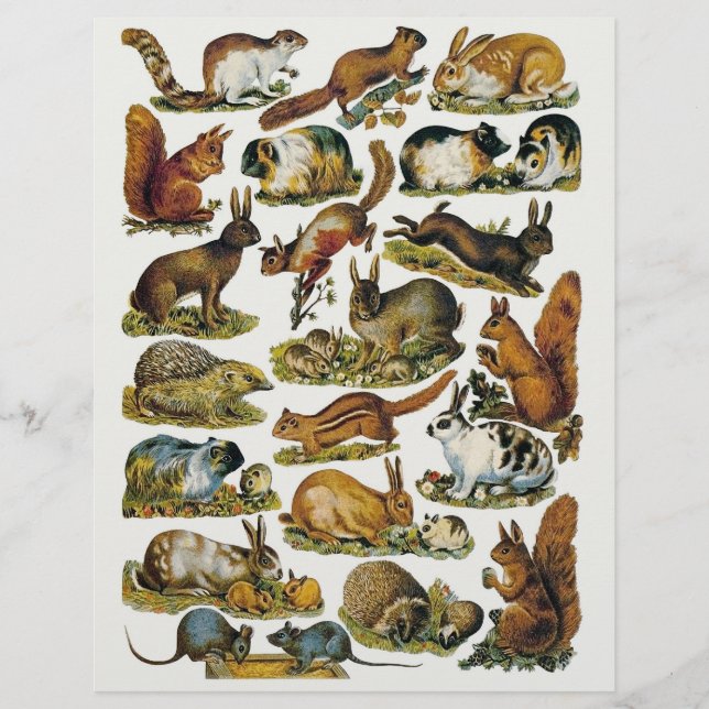 Viktorianische Kürzungen bei kleinen Tieren (Vorderseite)