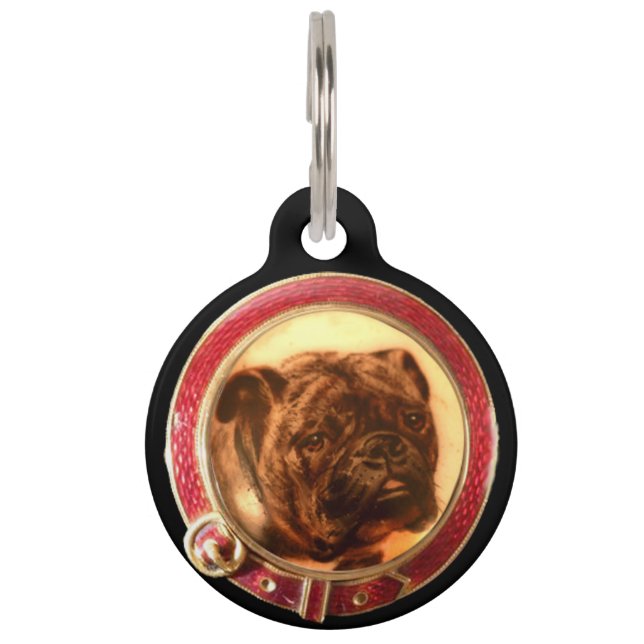 VIKTORIANISCHE MINIATUR HUND PORTRAITS Bulldog Haustiermarke (Vorderseite)