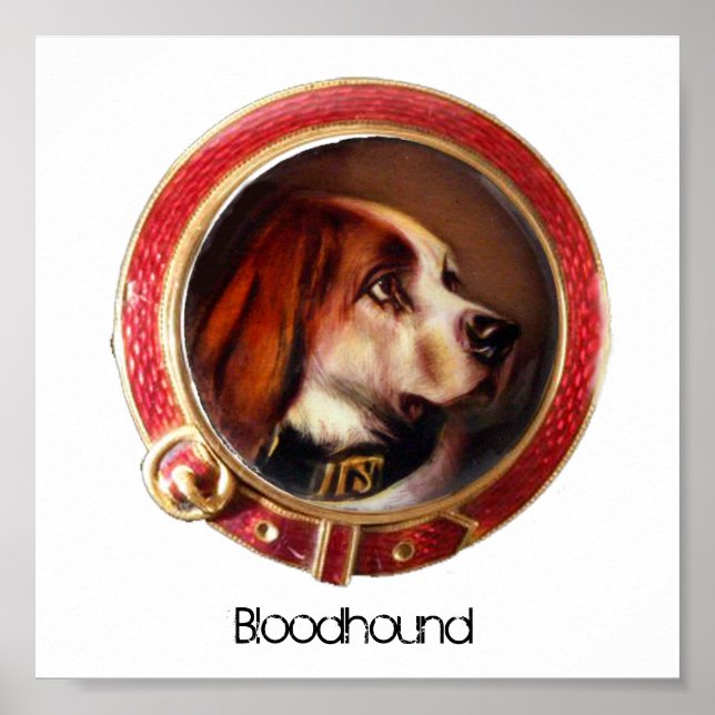 VIKTORIANISCHE MINIATURHUNDPORTRAITS Bluthund Poster (Vorne)