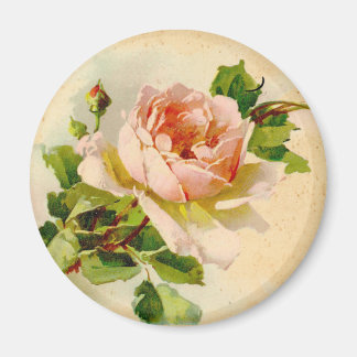Viktorianische rosa Rose Magnet