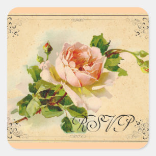 Viktorianische Rosa Rose Quadratischer Aufkleber