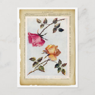 Viktorianische Rosa und Gelbe Rosen II Postkarte