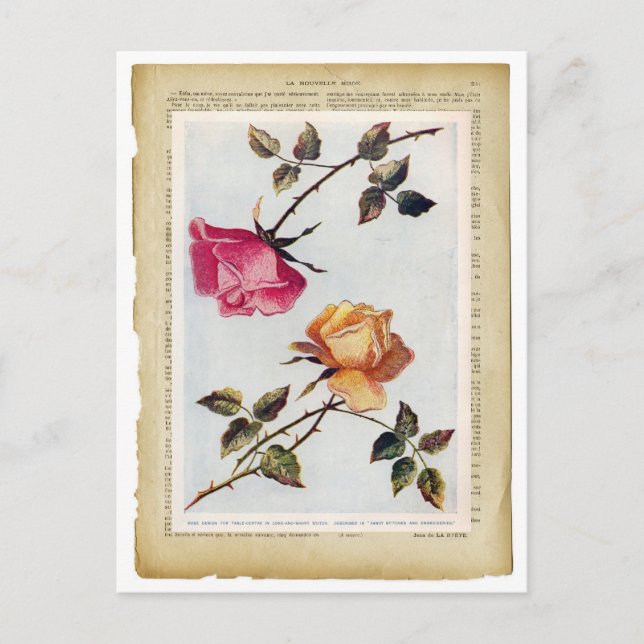 Viktorianische Rosa und Gelbe Rosen II Postkarte (Vorderseite)