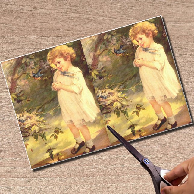 Viktorianische Süsse mit Vögeln Seidenpapier (Von Creator hochgeladen)