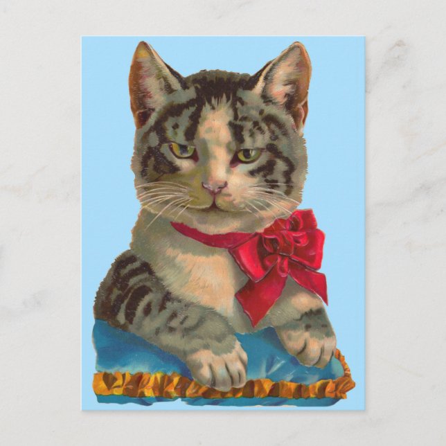 Viktorianische Tablet-Katze Postkarte (Vorderseite)