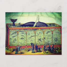 Viktorianische Zirkus-Vintage Ausstellung Postkarte