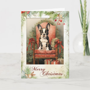 Viktorianischer Boston Terrier Welpe Weihnachten