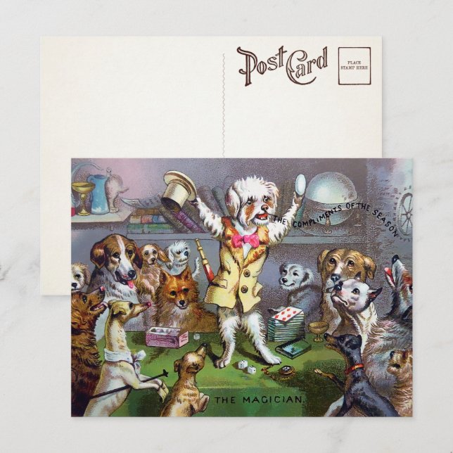 Viktorianischer Dog Magician Postkarte (Vorne/Hinten)