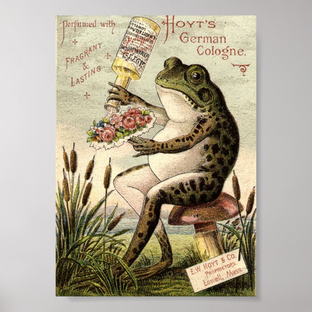 Viktorianischer Frosch auf Toadstool Ad Poster (Vorne)