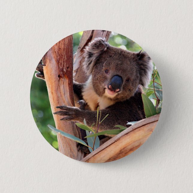 Viktorianischer Koala Button (Vorderseite)